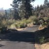 Quiet walking trail winding through pine forest at Ridgewater Properties in Klamath Falls, Oregon, part of the community's 10-plus miles of trails enjoyed by residents like 20-year homeowner Erika Cross
