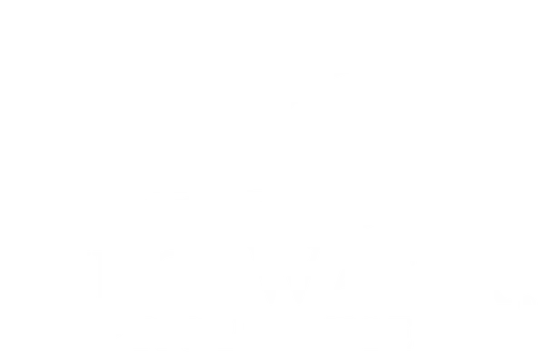 RidgeWater Properties logo featuring a stylized white bird flying above flowing water lines and the RidgeWater Properties wordmark.