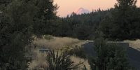 Mount Shasta's snow-capped peak glowing pink at sunset, visible through ponderosa pines from Ridgewater Properties in Klamath Falls, Oregon, approximately 60 miles to the south